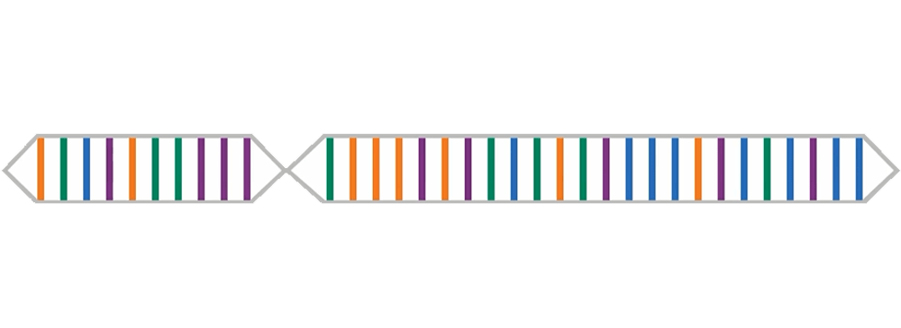 クリフトンストレングスの34の資質